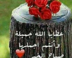 افتراضي