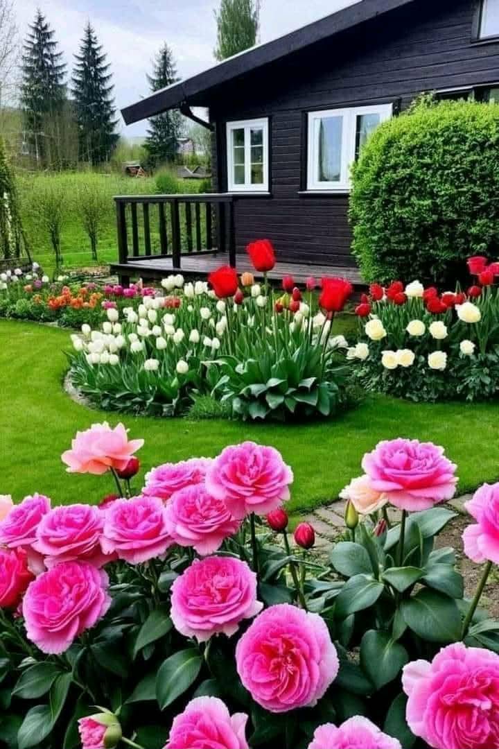 صورة الحنين٧٨