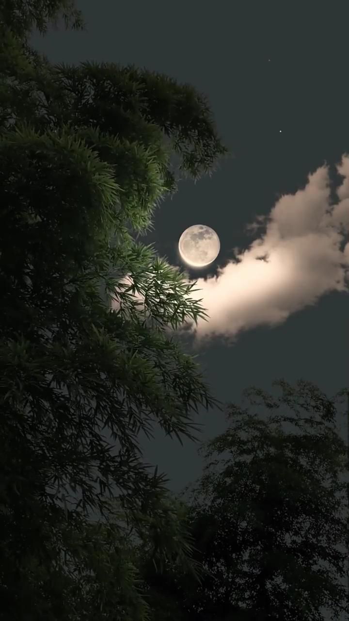 سعود الدوسري