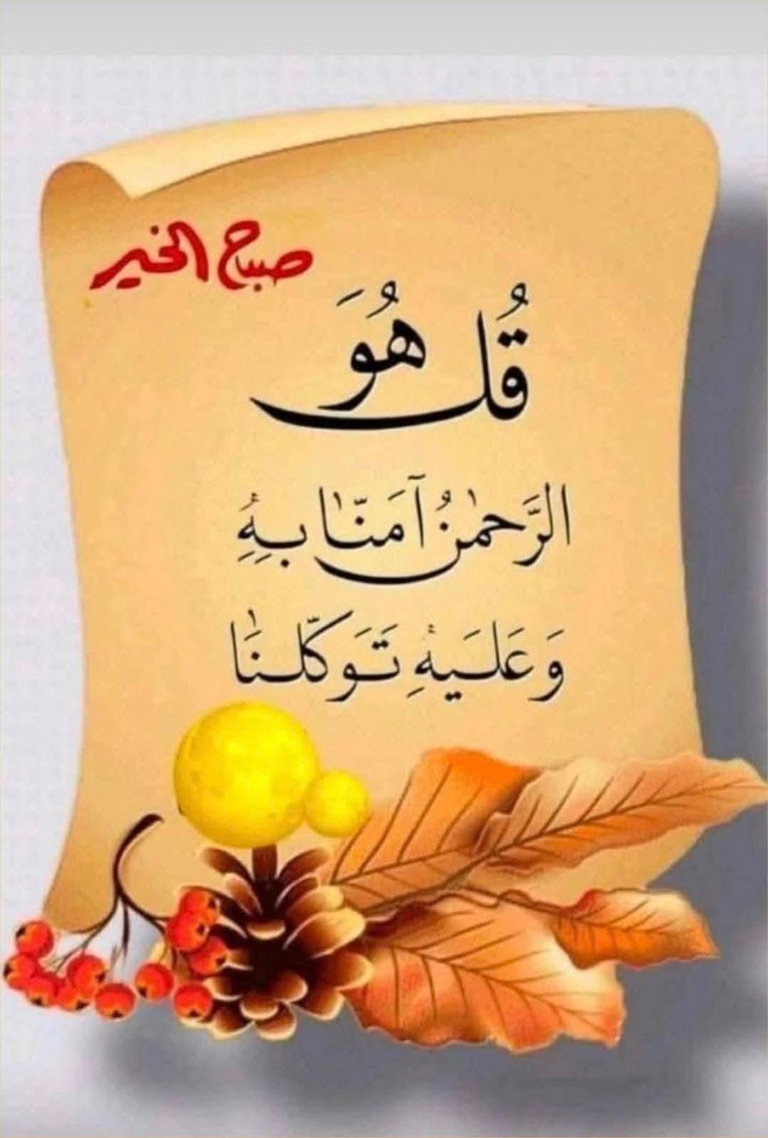 نور الهدى