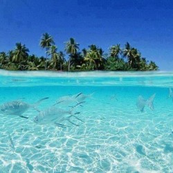 صورة عربي