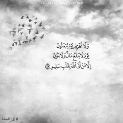 صورة امانى