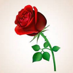 صورة True_Man