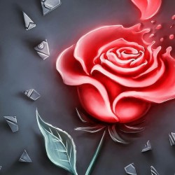 صورة Starmmm