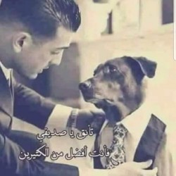 صورة سامح