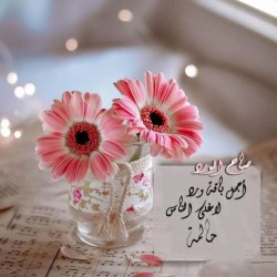 صورة لؤلؤه