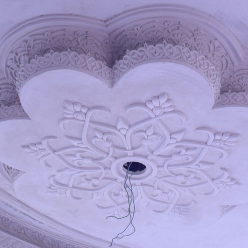صورة Moh