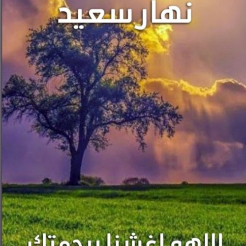 صورة محمدعلي, رجل