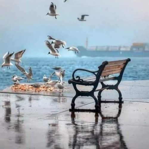 صورة Ahmed morning, رجل