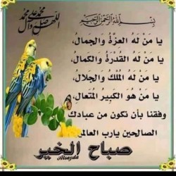 صورة mohcairo