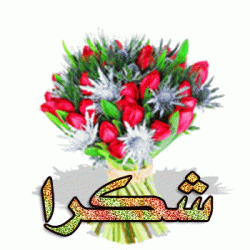 صورة Farid