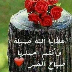 صورة مخاوي الذيب