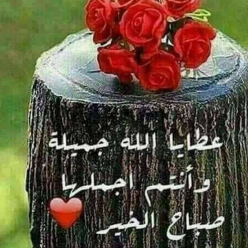 صورة مخاوي الذيب, رجل