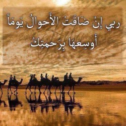 صورة 7Mostafa