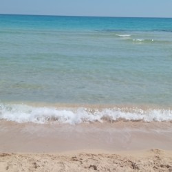 صورة Zahra