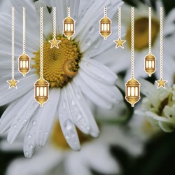 صورة منى67