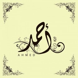 صورة Elsadany