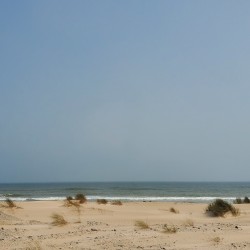 صورة SaLaH0077