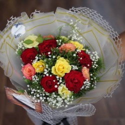 صورة N1805