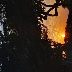 صورة انسان