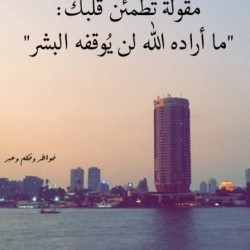 صورة زهرة