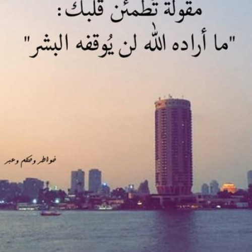 صورة زهرة