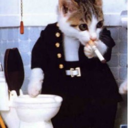 صورة Tulip2001
