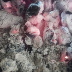 صورة نورهدايه