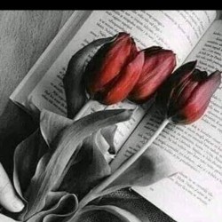صورة Kaled