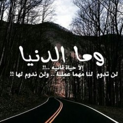 صورة نوار