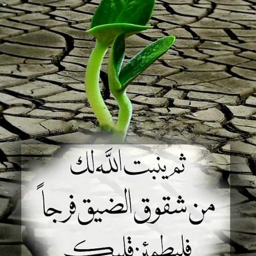 صورة Ahmed39sh, رجل