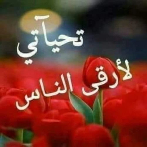 صورة Samir, رجل