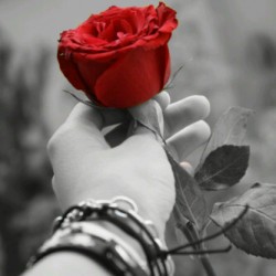 صورة souso