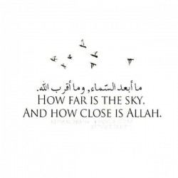 صورة lateefah7