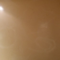 صورة أربعيني44