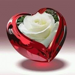 صورة ahmedamgd119, رجل