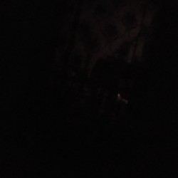 صورة ابوعبدالرحمان23