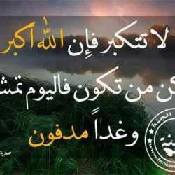 صورة فهد407
