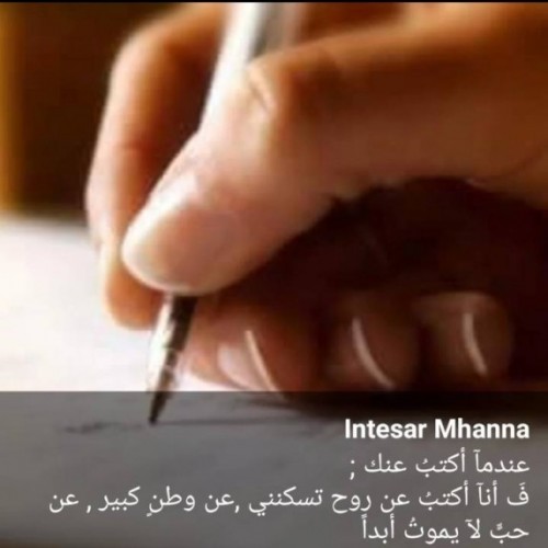 صورة الوردة