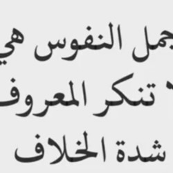 صورة Essam313