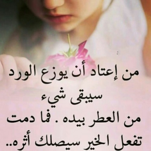 صورة Bodi95