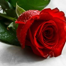 صورة Smsm