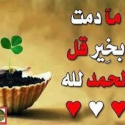 صورة غايتى رضى الرحمن