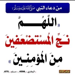 صورة Hajar55