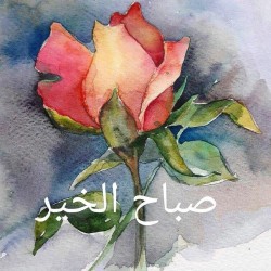 صورة Ameera7788