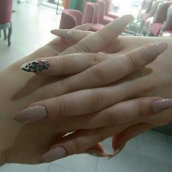 صورة شهرزاد