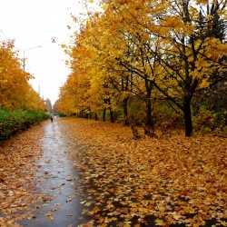 صورة Rwan80