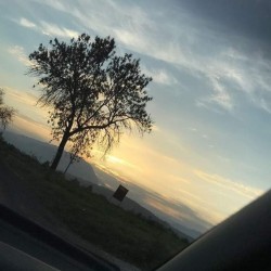 صورة Ayla