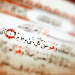 صورة hashem