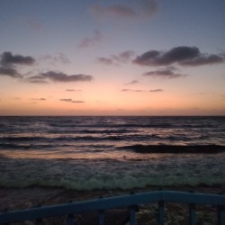 صورة ندي